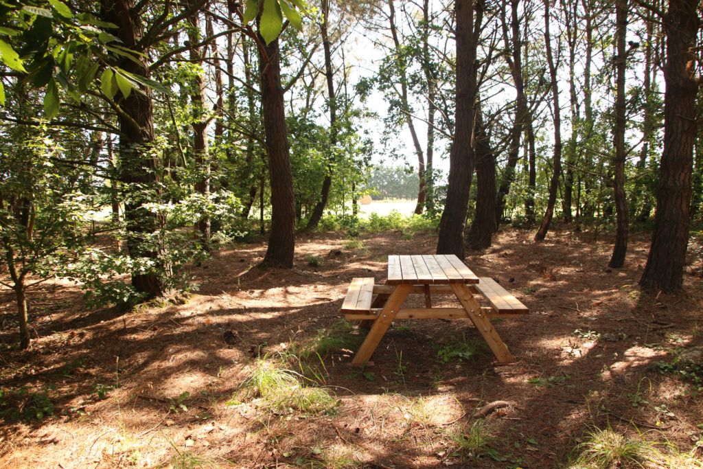 gite-foret